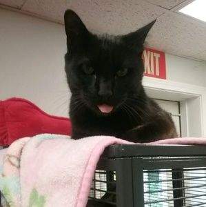 Meet your Posher, Julia